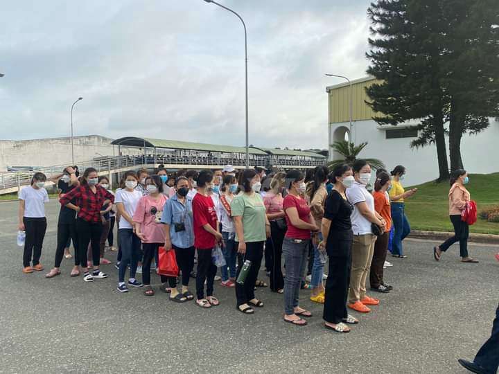Tuyển Nam Nữ Thời Vụ ( Ứng Lương Tuần). Việc làm tại Quận 7 Tp Hồ Chí Minh được đăng bởi Nidec Tosok và Techlink  hình 2