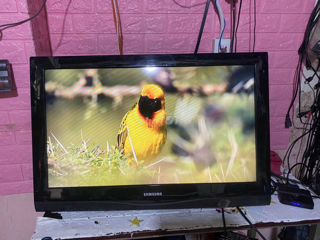 Tivi LCD Samsung 32in(LA32C350) hd