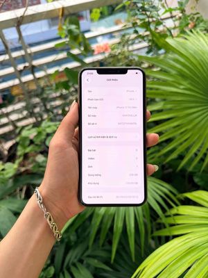 Apple iPhone 11 Pro Max 256GB Vàng đồng Đã sử dụng
