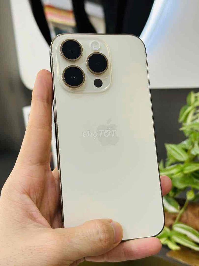 iPhone 14 Pro Vàng. Mua bán Điện thoại tại Quận Ninh Kiều Cần Thơ được đăng bởi HNmobile  hình 1