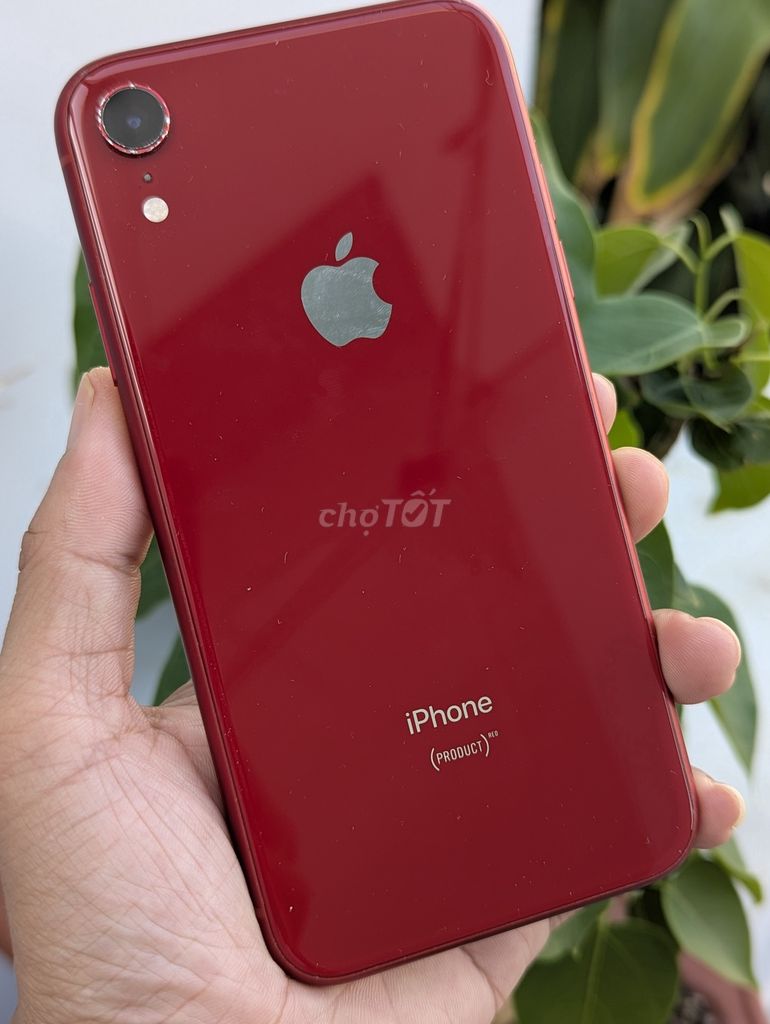 iPhone XR 256 Quốc tế nguyên zin áp chưa sửa chữa. Mua bán Điện thoại tại Huyện Long Điền Bà Rịa - Vũng Tàu được đăng bởi     hình 1