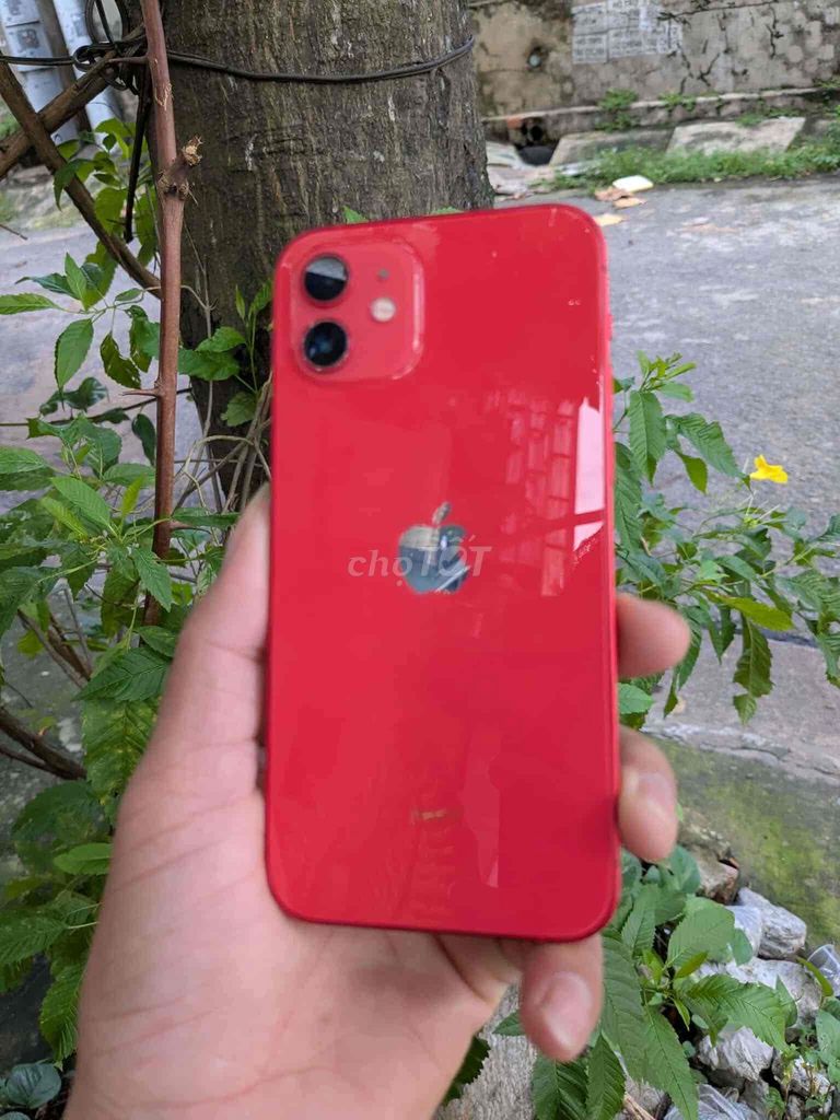 Apple iPhone 12 Đỏ Bản lock Đã qua sử dụng. Mua bán Điện thoại tại Huyện Hàm Thuận Bắc Bình Thuận được đăng bởi cù lằn hình 1