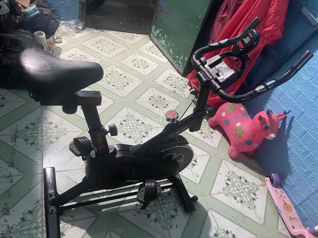 Xe đạp tập gym Kim loại Đen