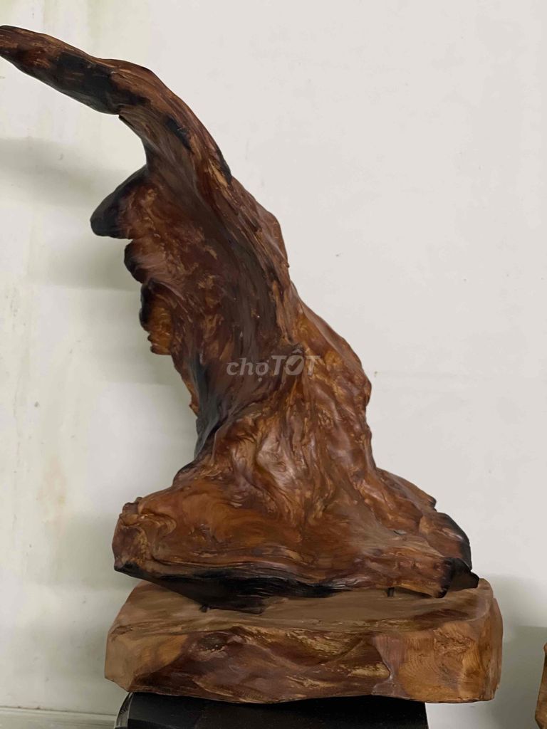 Lũa gỗ trưng bày phòng khách thơm tự nhiên