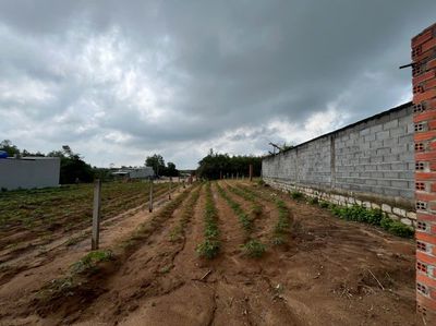 BÁN ĐẤT ĐẸP TẠI XÃ TAM PHƯỚC – HUYỆN LONG ĐIỀN – BÀ RỊA – VŨNG TÀU. Mua bán đất tại Huyện Long Điền Bà Rịa - Vũng Tàu được đăng bởi Dương Cường