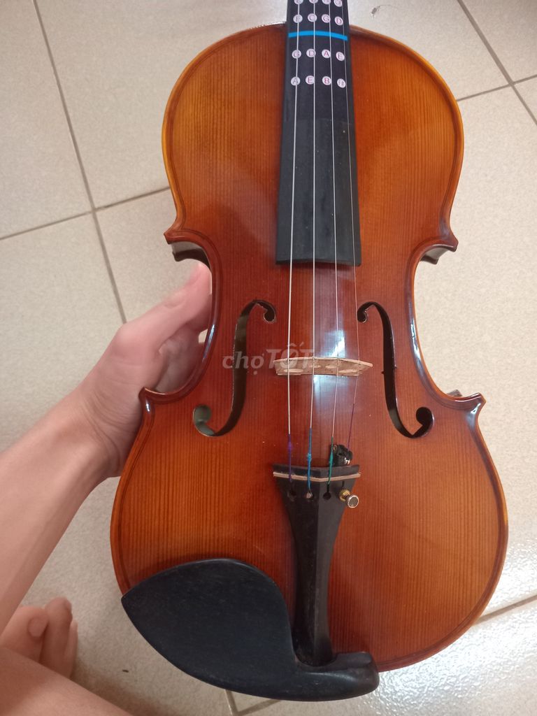 Đàn violin TV02 4/4