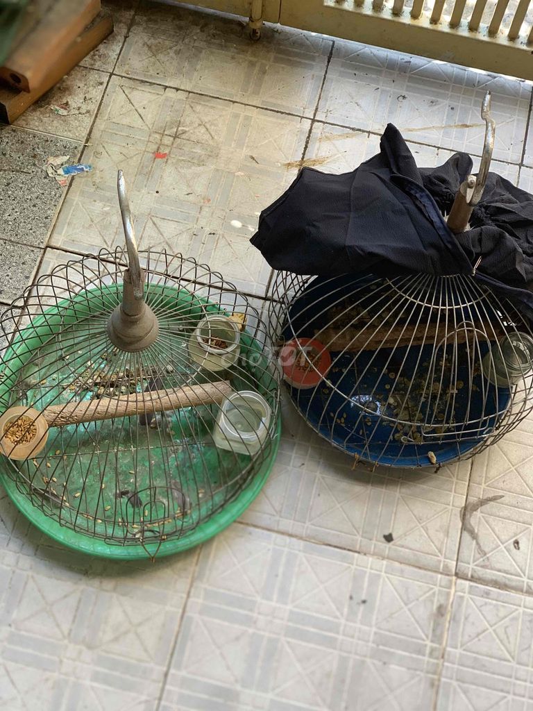 Lồng chim cu gáy . Full phụ kiện. Mua bán Phụ kiện, Thức ăn, Dịch vụ tại Quận 8 Tp Hồ Chí Minh được đăng bởi Tiger nâu  hình 1