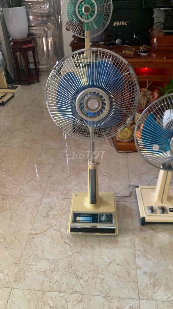 Quạt cây Sanyo 1m Vàng kem. Mua bán Quạt tại Thành phố Thái Bình Thái Bình được đăng bởi BÙI QUANG FB hình 1