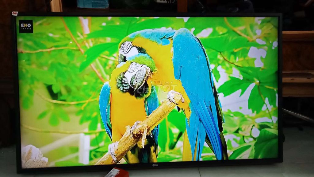 smart TV LG32IN wifi YouTube chạy nhanh mượt . Mua bán Tivi, Âm thanh tại Huyện Bình Chánh Tp Hồ Chí Minh được đăng bởi Thành lý hàng cũ  hình 1