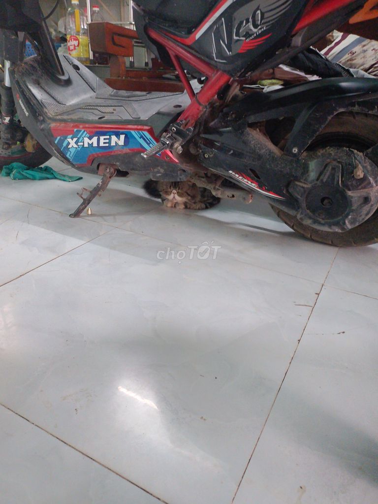 Thanh lý xe máy điện. Mua bán Xe điện tại Huyện Hóc Môn Tp Hồ Chí Minh được đăng bởi Quy Le hình 1