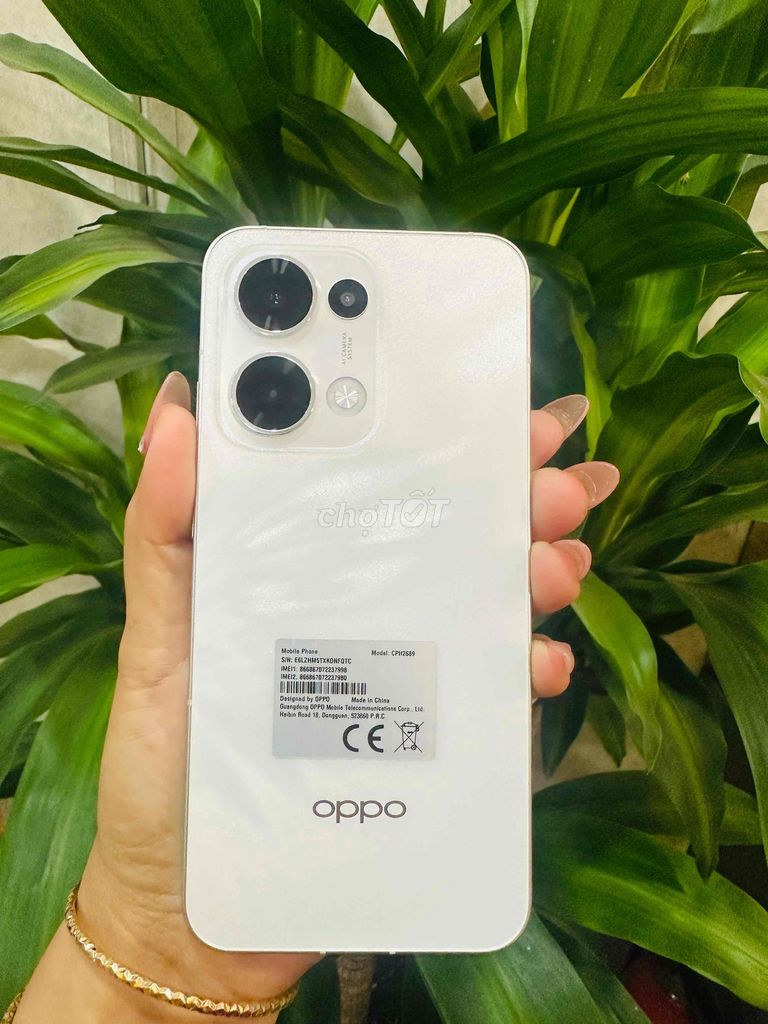 Oppo Reno 13 5G 12/256