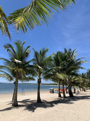 Cần cho bên thứ 3 thầu phòng khách sạn, Đồi Rồng Đồ Sơn Hải Phòng. Cho thuê văn phòng, mặt bằng kinh doanh tại Quận Đồ Sơn Hải Phòng được đăng bởi Diem Hang Nguyen