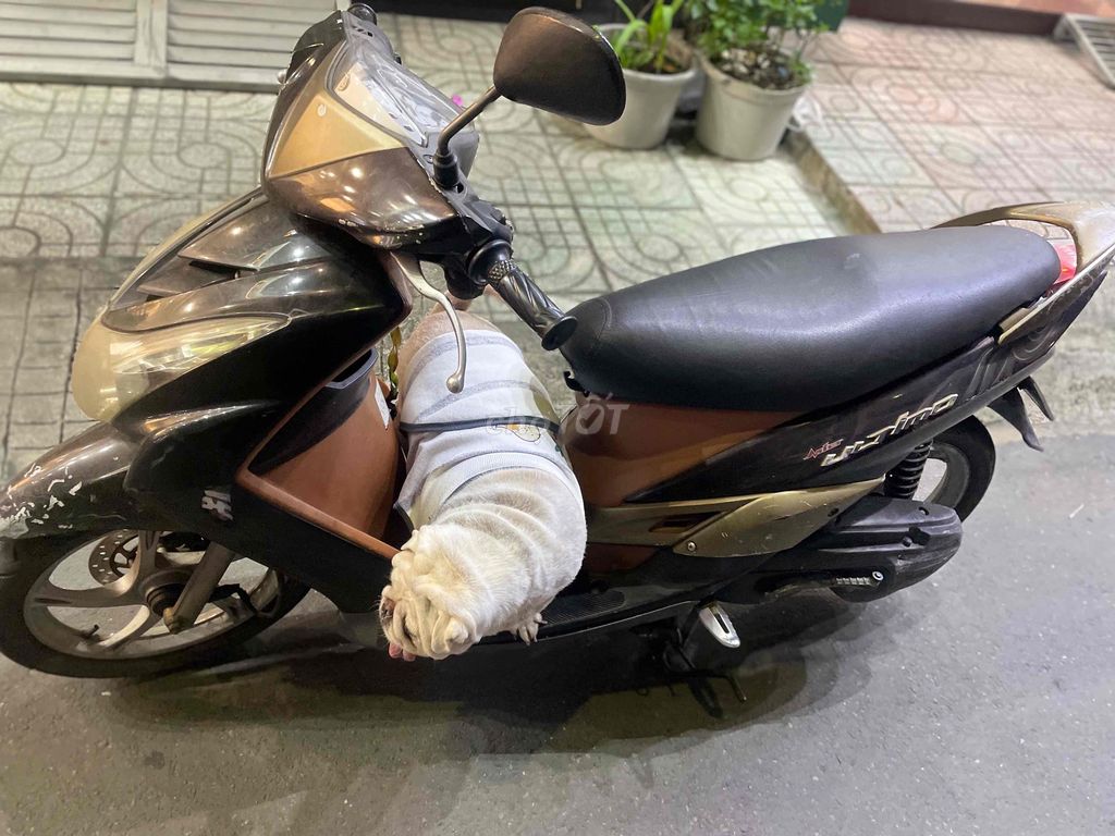 Nhà dư xe cần thanh lý xe để trống nhà. Mua bán Xe máy tại Thành phố Thủ Đức Tp Hồ Chí Minh được đăng bởi Giang Đặng hình 4