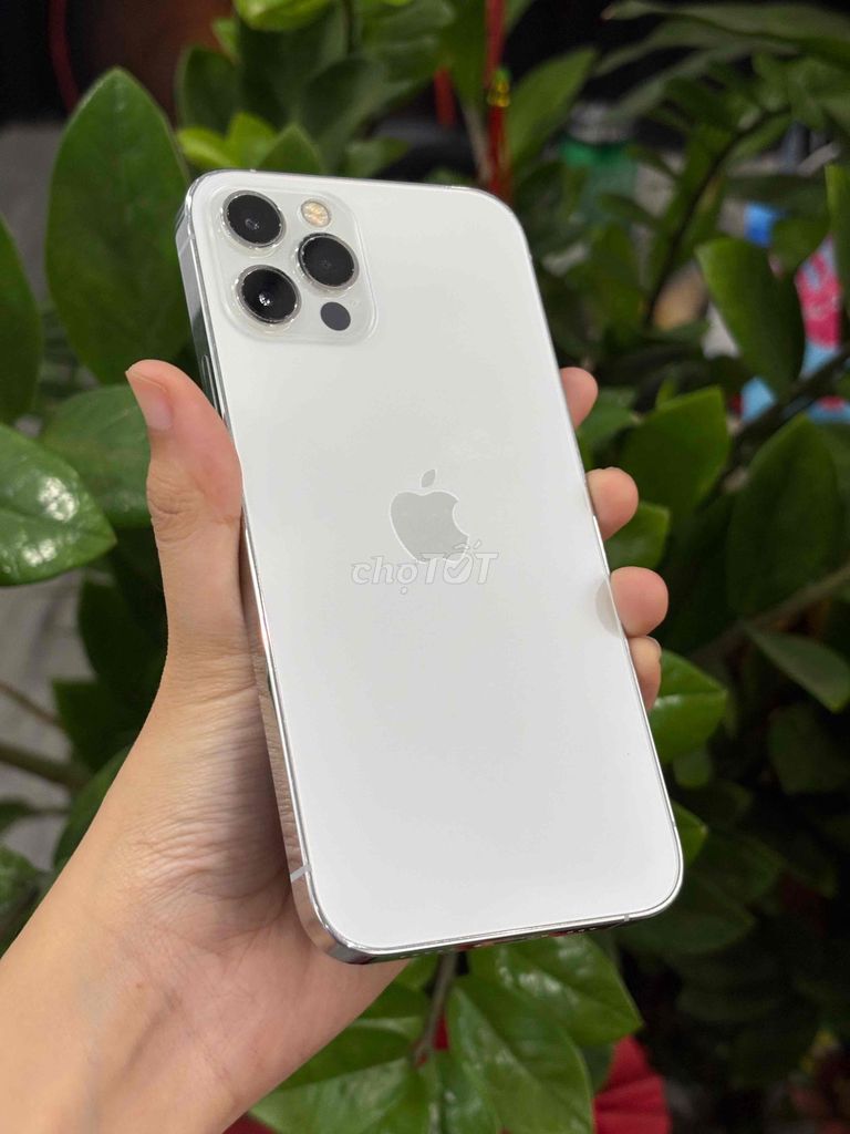 12pro đưa 4tr5 góp nậu xớ. Mua bán Điện thoại tại Quận Thanh Khê Đà Nẵng được đăng bởi BÔN APPLE 19 Bàu Hạc 3 hình 1