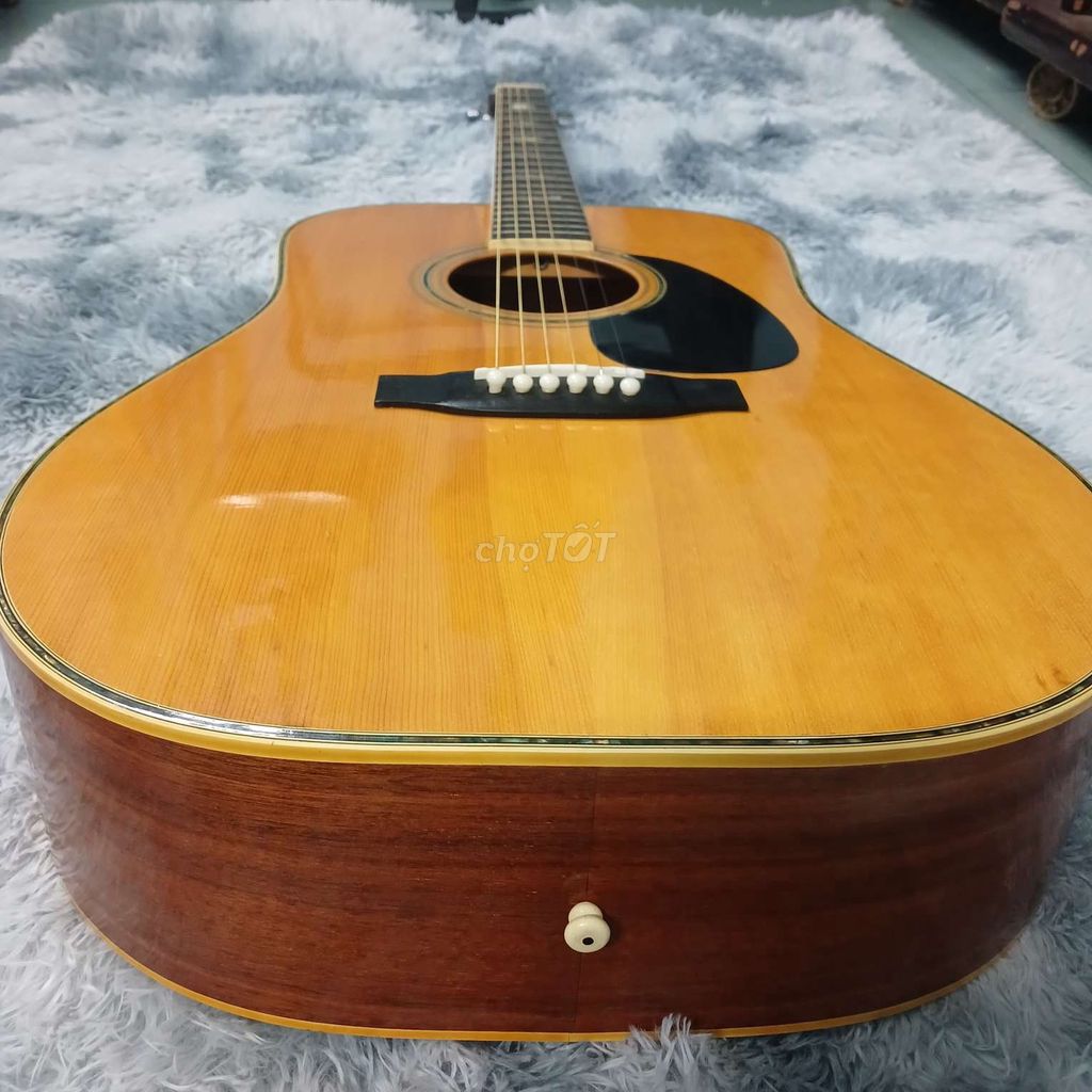 Guitar Acoustic Morales M250