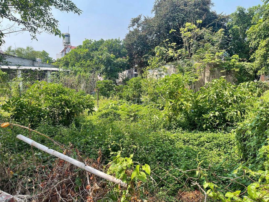 ĐẤT BIỆT THỰ NGANG 20M 439M2 ĐẠI LỘ BÌNH DƯƠNG