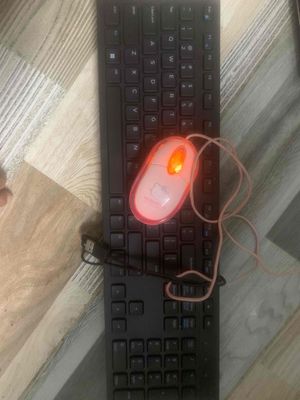 Chuột+bàn phím Dell
