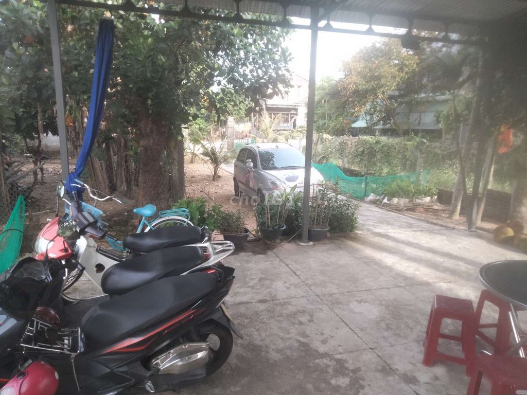 Ảnh số 2