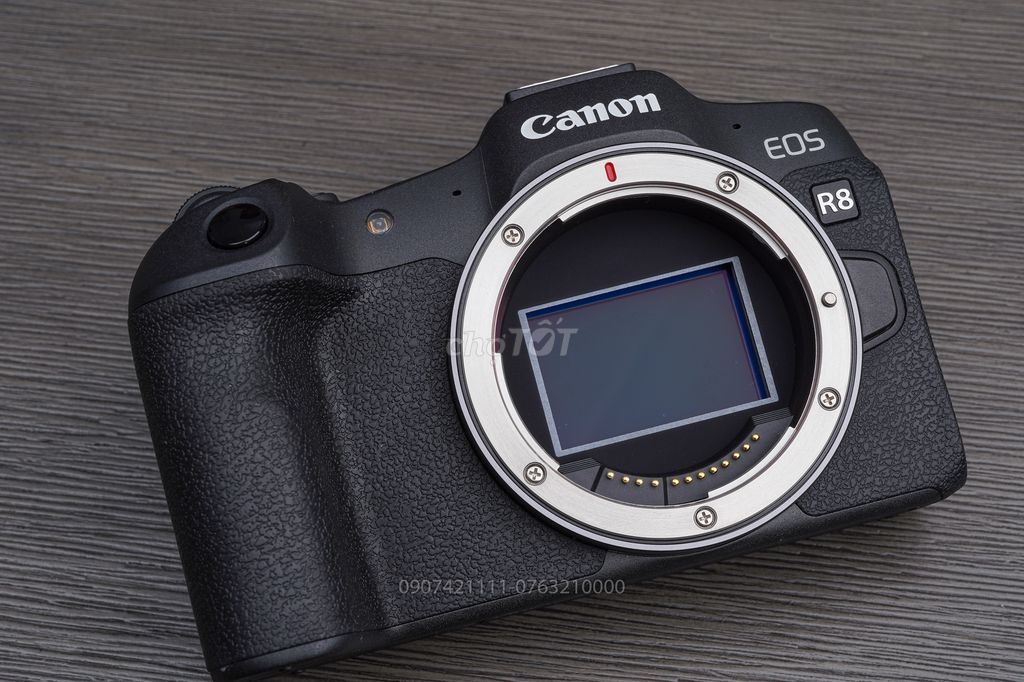 Canon R8 99%