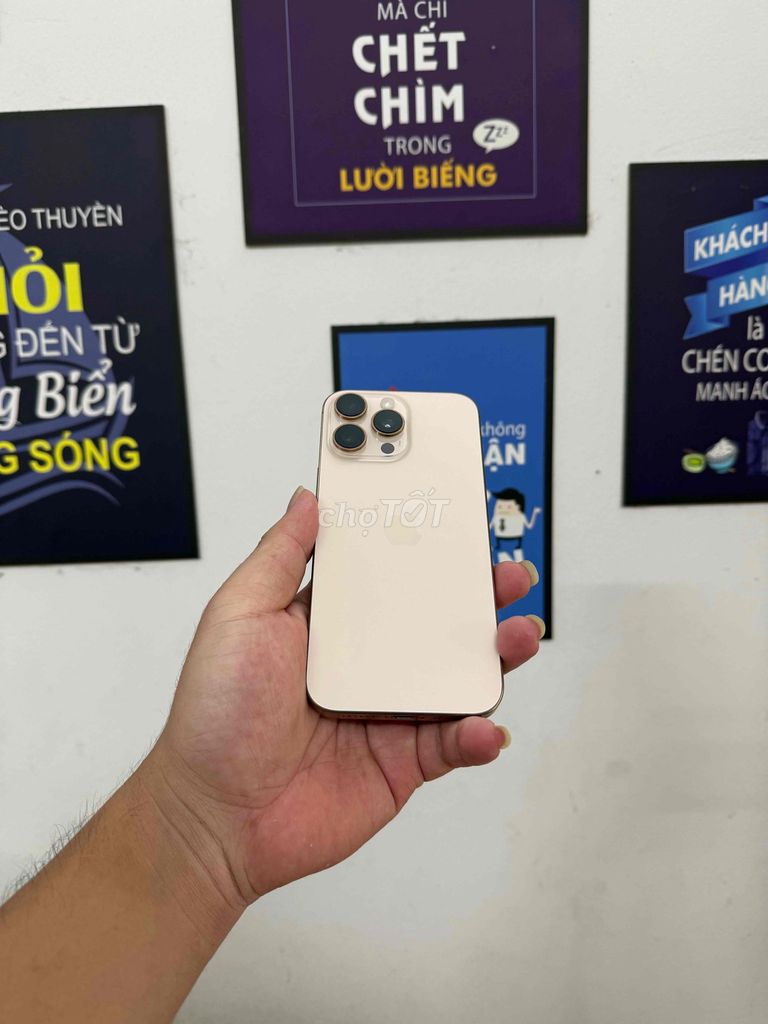 Apple iPhone 16 Pro Max 256GB Vàng Zin all. Mua bán Điện thoại tại Quận Đống Đa Hà Nội được đăng bởi CHUNG Mobile hình 1