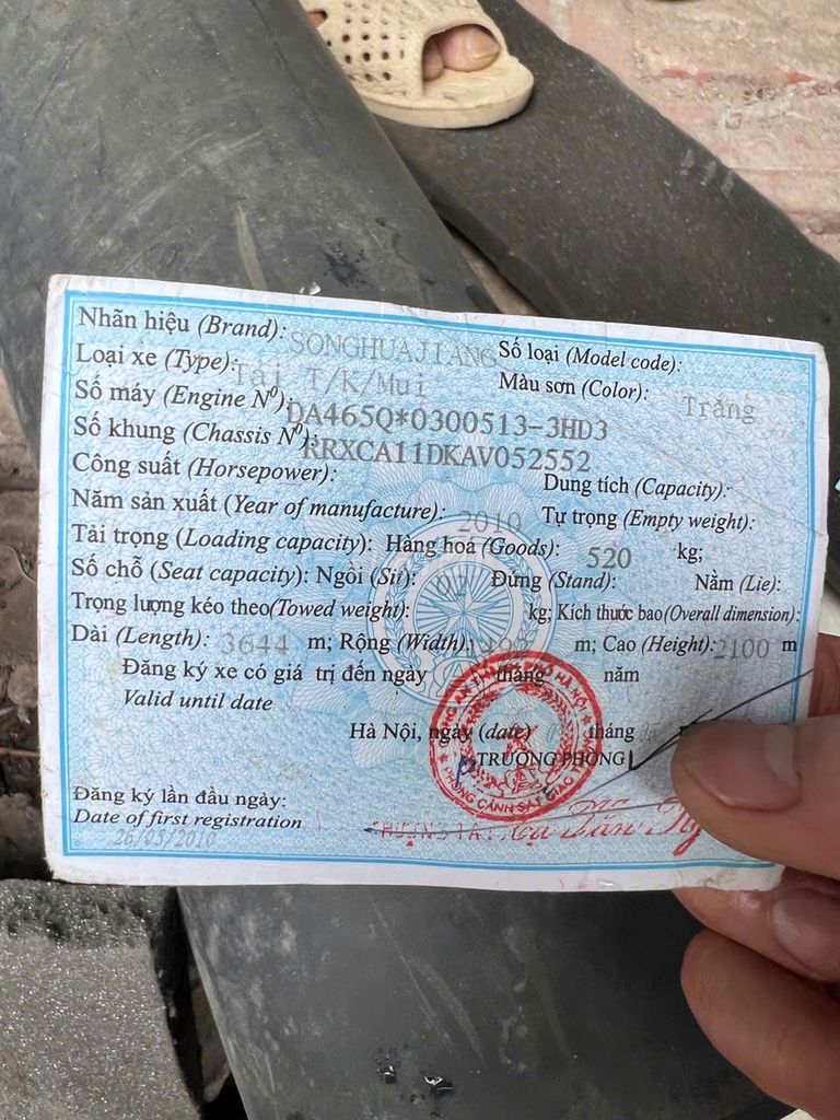 Ảnh số 7