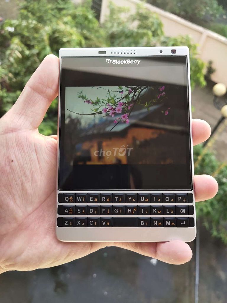 Blackberry passport se phím ả rập