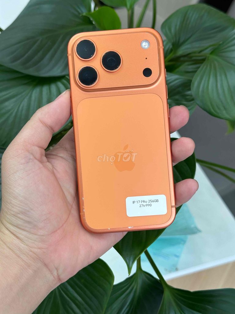 17 Pro 256GB Cam VN Pin 100 Bh 10/2026 imei 828282. Mua bán Điện thoại tại Quận Ninh Kiều Cần Thơ được đăng bởi Quý Mobile Cần thơ hình 1