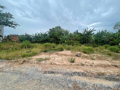 Plot of land 1000 m² · Đường Lý Thường Kiệt