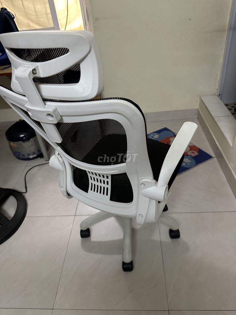 Ghế xoay văn phòng Lưới Nhựa Trắng Đen. Mua bán Đồ dùng văn phòng tại Quận Cầu Giấy Hà Nội được đăng bởi Đức  hình 1