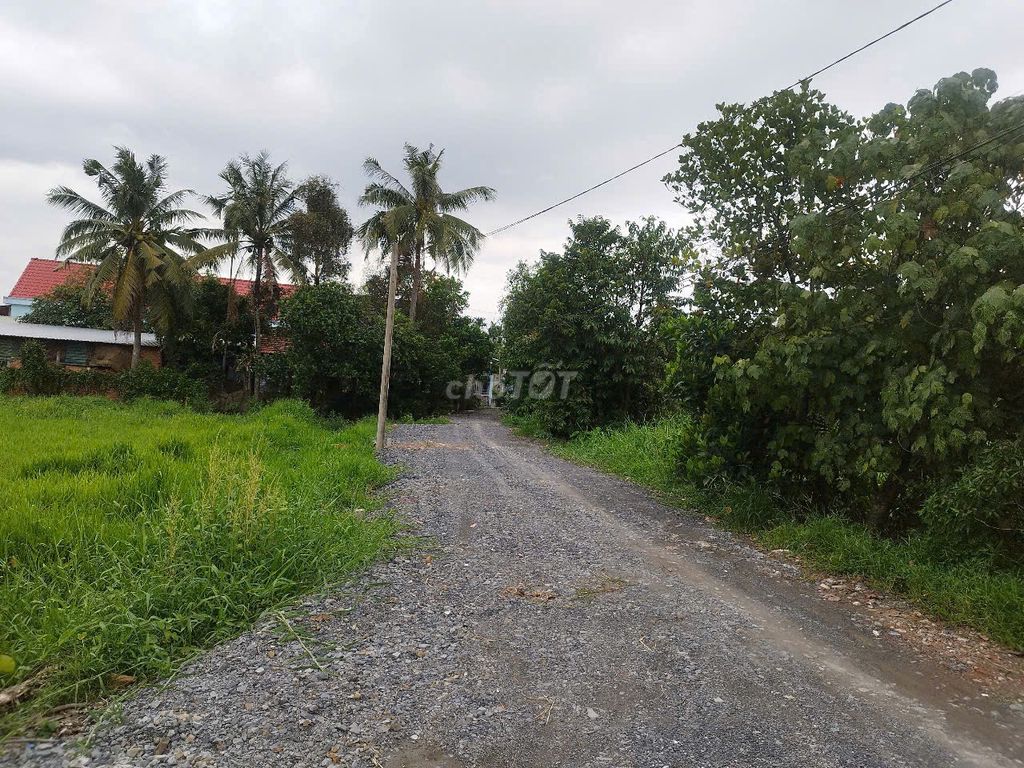 Đất full thổ cư xã Bình Mỹ Chỉ 1.65 tỷ Đường Bình Mỹ, Xã Bình Mỹ, Huyện Củ Chi, Tp Hồ Chí Minh Huyện Củ Chi Tp Hồ Chí Minh