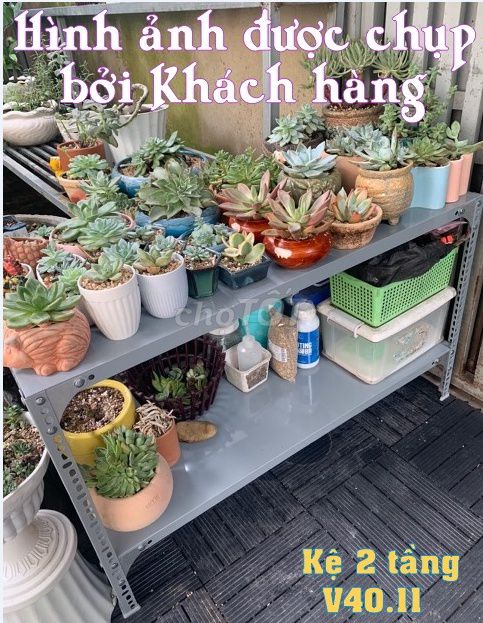 Kệ V lỗ 2 tầng mâm 40x120. Cao 75cm. Chân V3x3. Mua bán Tủ, kệ gia đình tại Quận Bình Tân Tp Hồ Chí Minh được đăng bởi Kệ Thép V Lỗ Đa Năng hình 1