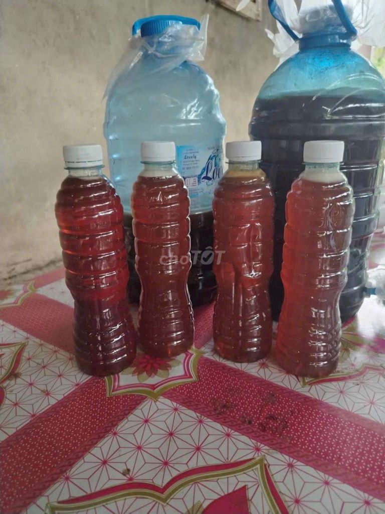 Mật ong Ong nuôi chai nhựa. Mua bán Đồ ăn, thực phẩm và các loại khác tại Huyện Càng Long Trà Vinh được đăng bởi Quốc cường hình 1