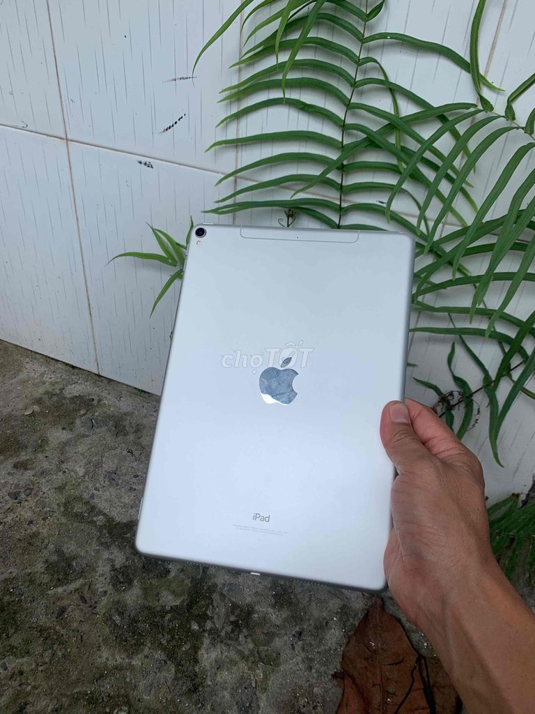 ipad pro10.5 inch 4G +wifi Zin màn 120hz