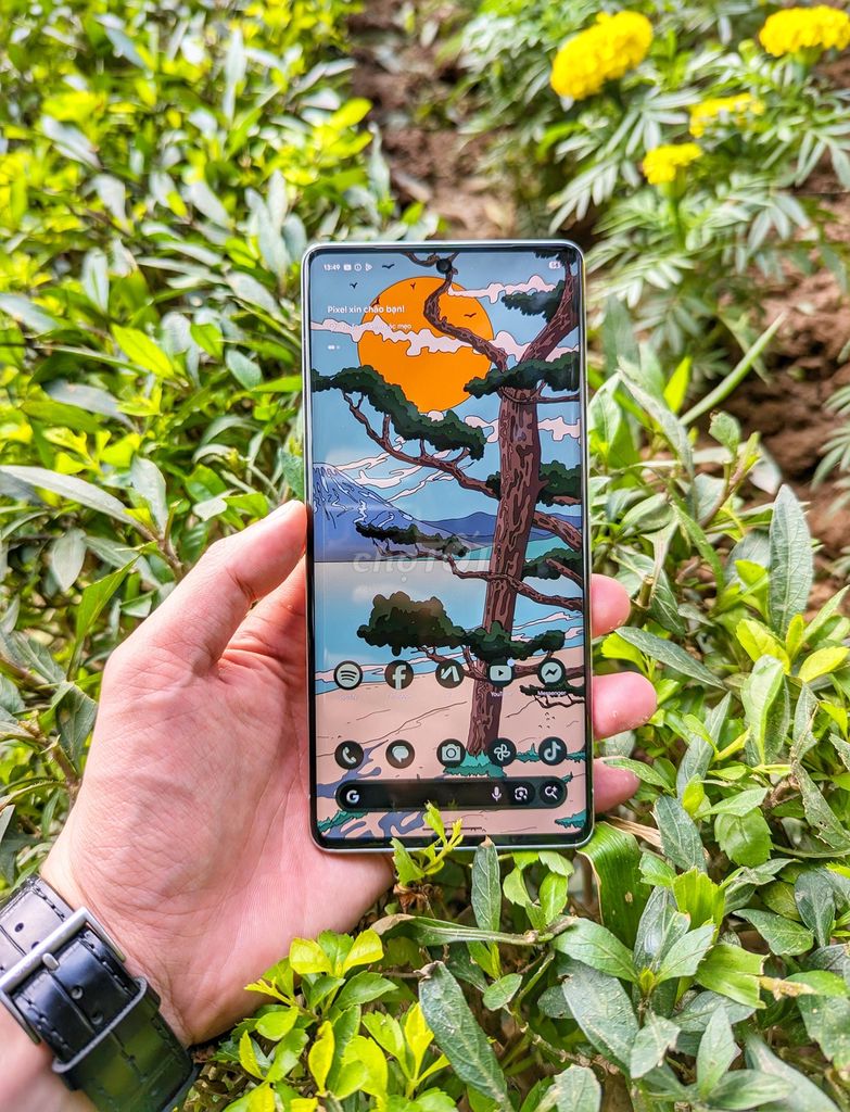 Pixel 7 Pro 512GB Fullbox Nguyên Zin 100%. Mua bán Điện thoại tại Quận Ba Đình Hà Nội được đăng bởi Phát hình 1