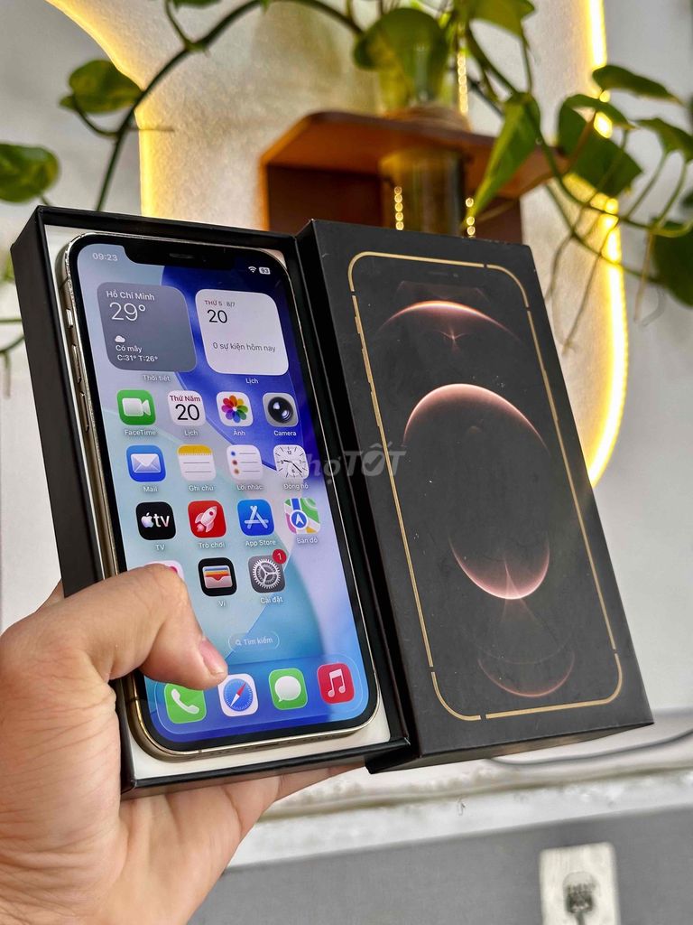 Apple iPhone 12 Pro 128GB Vàng Gold 82%. Mua bán Điện thoại tại Thành phố Sóc Trăng Sóc Trăng được đăng bởi Tàii Tâyy hình 1