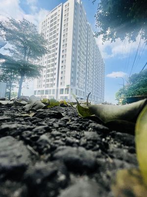 Ctl Tower Dt 71 -3,840 tỷ | Dt 87 m2 - 4,390 Tỷ | Sổ Hồng Sẵn