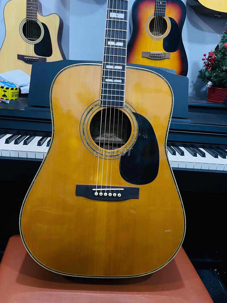 Guitar Pro-Martin w250