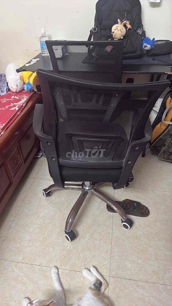 Ghế văn phòng Lưới Vải Đen Đã qua sử dụng. Mua bán Đồ dùng văn phòng tại Quận Cầu Giấy Hà Nội được đăng bởi Văn Nguồn hình 1