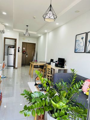 Chính chủ cho thuê căn 2PN full nội thất Him Lam Phú An Q.9, giá 11tr