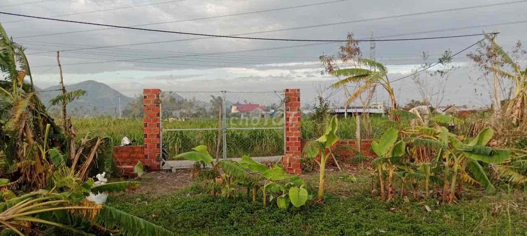 560m2 đất phước an sắp lên thổ