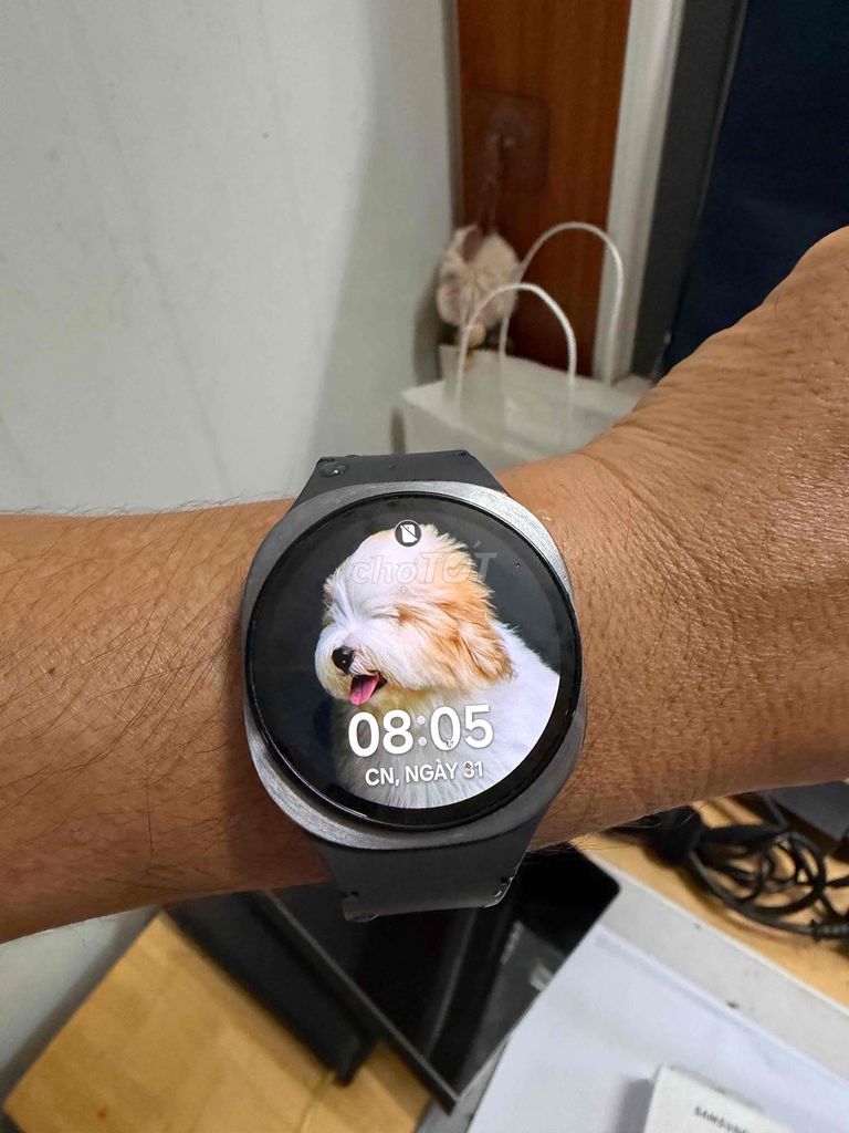 Samsung Galaxy Watch8 40mm Xám. Mua bán Thiết bị đeo thông minh tại Thành phố Buôn Ma Thuột Đắk Lắk được đăng bởi Tùng Hoàng hình 1