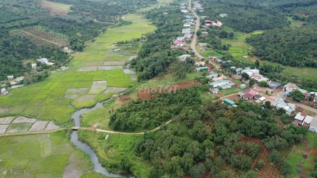 🔥 MINI FARM, VIEW SUỐI, VIEW CÁNH ĐỒNG 🔥