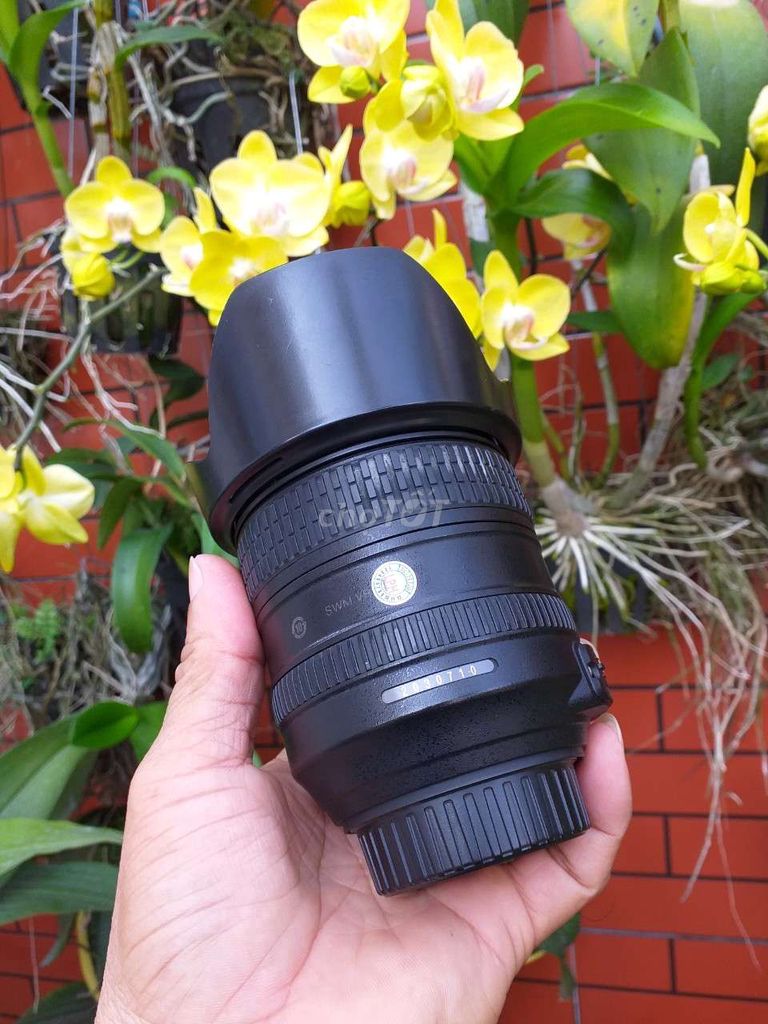 Lens Nikon 24/85 VR