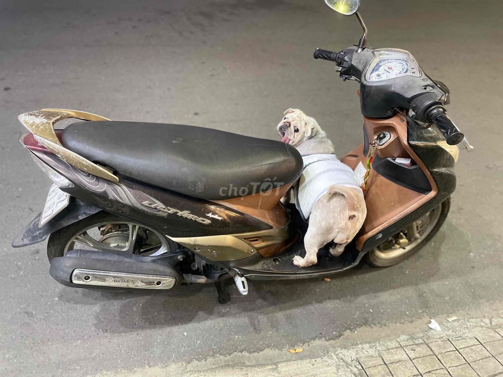 Nhà dư xe cần thanh lý xe để trống nhà. Mua bán Xe máy tại Thành phố Thủ Đức Tp Hồ Chí Minh được đăng bởi Giang Đặng hình 2