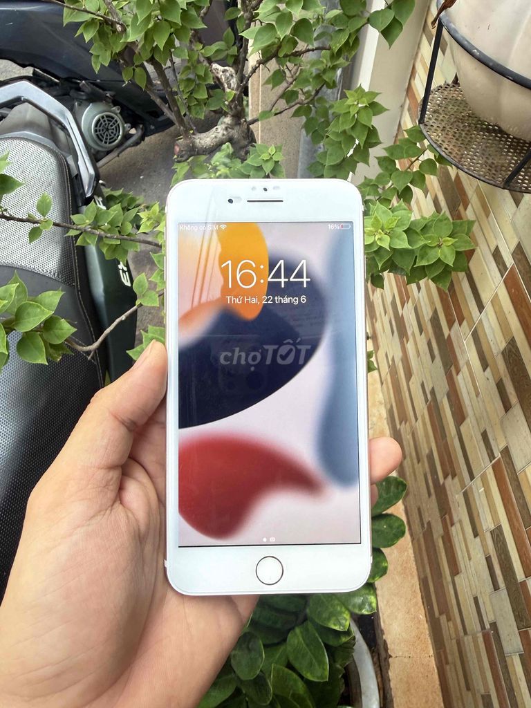 iPhone 7 Plus 32GB Vàng. Mua bán Điện thoại tại Thành phố Vũng Tàu Bà Rịa - Vũng Tàu được đăng bởi Ngọc Lê hình 1