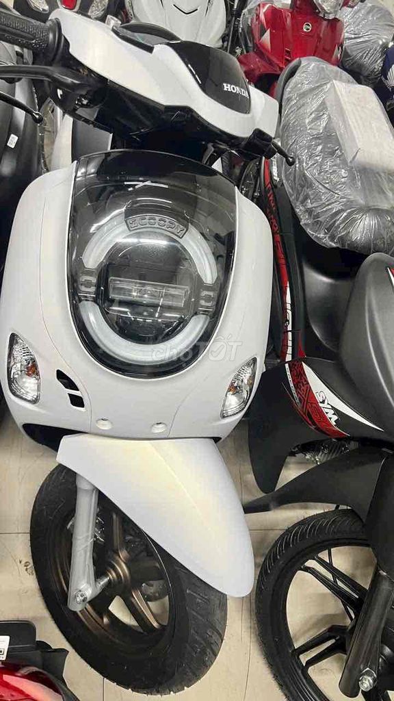 Honda Scoopy Xe tay ga màu Đen Mới. Mua bán Xe máy tại Thành phố Sa Đéc Đồng Tháp được đăng bởi Xe Máy 66 Đồng Tháp Giá Rẻ hình 2