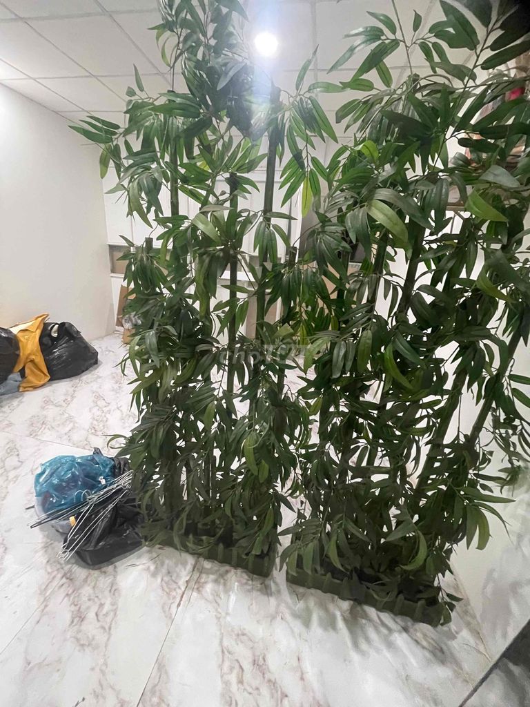 Cây trúc giả trang trí Nhựa cao cấp Xanh lá. Mua bán Cây cảnh, đồ trang trí tại Quận 7 Tp Hồ Chí Minh được đăng bởi XE ĐẠP CŨ 24h Q7 hình 1