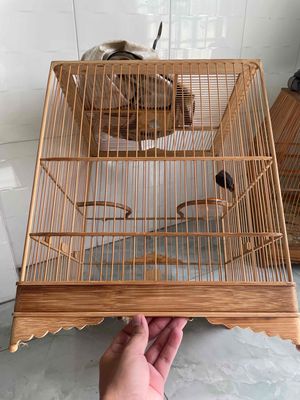 Giao lưu Lửa Khướu Mi. Mua bán Chim tại Quận Bình Tân Tp Hồ Chí Minh được đăng bởi Minh Trí