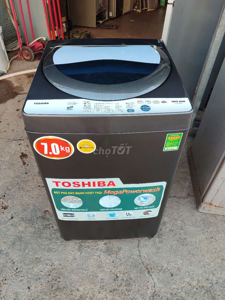 Toshipa đời cao 7kg