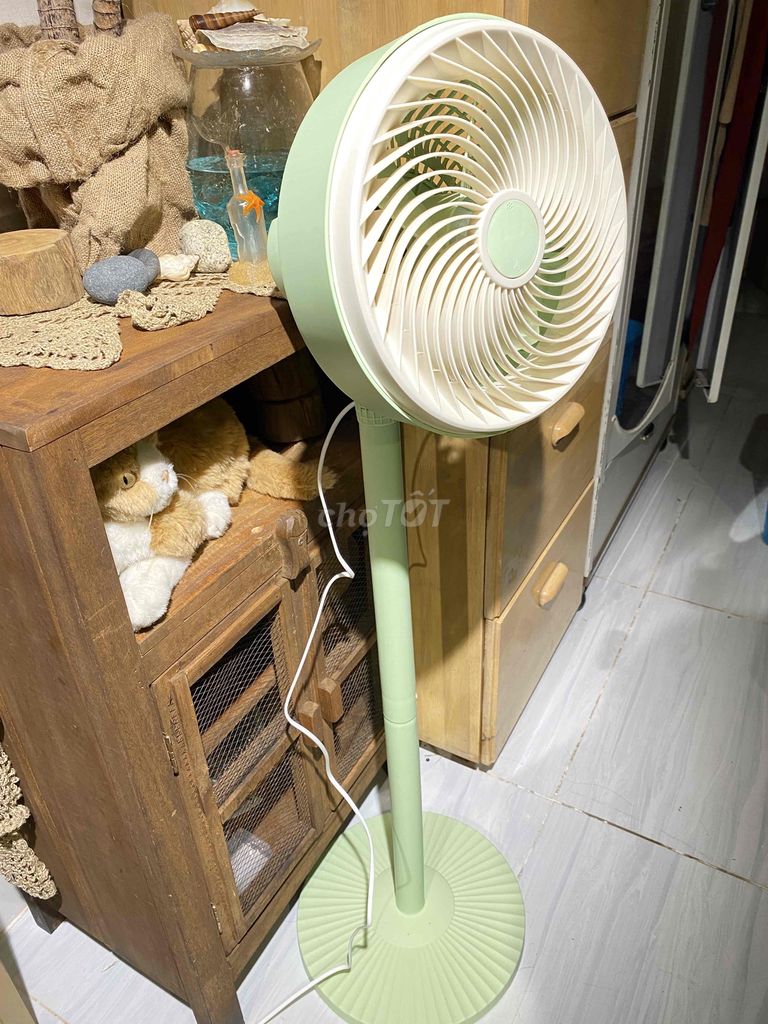 Có cây Q u ạ t hình chụp